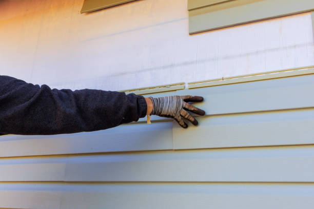 Best Custom Siding Design  in North Judson, IN